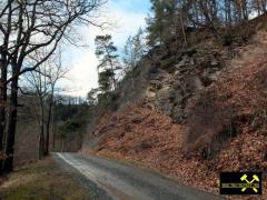 Felsklippen der Phycodes-Gruppe zwischen Berga und Oberhammer bei Gera, Ostthüringen, (D) (1) 20. Februar 2012 Ordovizium.JPG